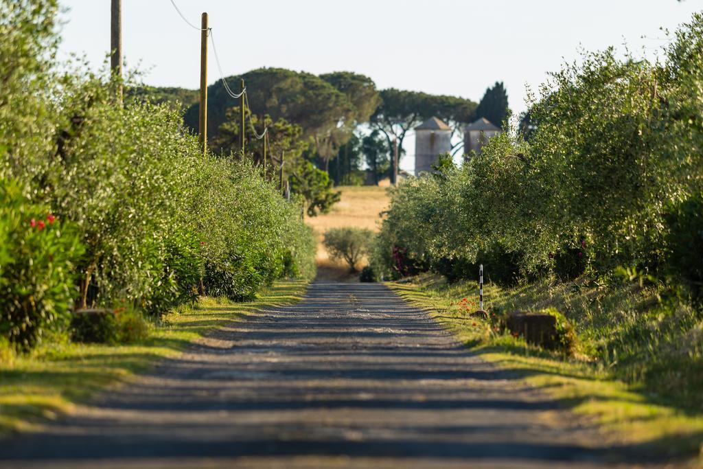 Riserva Dell'Olmo Anguillara Sabazia Esterno foto